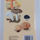 Mirko Svrcek : Mushrooms : a magna field guide - pikkukuva 2