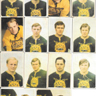 Erä Panda 1972 Jääkiekko, n. 100 erilaista - pikkukuva 3