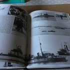 SUSANNE EVERETT WORLD WAR 1 HYVÄ - pikkukuva 4