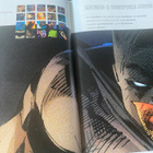 Batman & Robin Ihmepoika - Frank Miller - pikkukuva 2