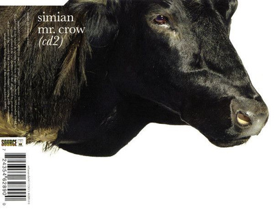 Simian - Mr. Crow (CDs)