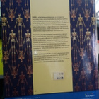 VIERIMAA : KEHO - ANATOMIA JA FYSIOLOGIA ( SIS POSTIKULU) - pikkukuva 2