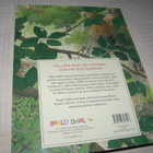 Roald Dahl - Patrick Benson Tynkätyiset - pikkukuva 4
