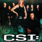 CSI: 5. kausi - (6 disc) - DVD Boxi [UUSI - MUOVEISSA] - pikkukuva 1