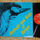 ANIMALS & BIRDS OF KENYA - LP 1970's Kenia,Africa EX - pikkukuva 1