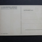 SUOMALAIS-UGRILAISET KANSAT - pikkukuva 2