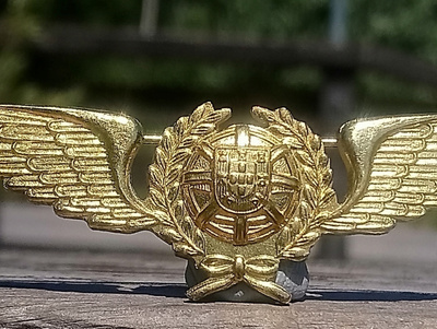 Kullanvärinen Ilmailumerkki. Halkaisija - 86 mm. Ehjä lukitu