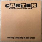 [12''] CARTER THE UNSTOPPABLE SEX MACHINE: THE ONLY LIVING - pikkukuva 1
