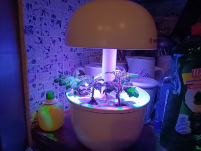 Bosch smart grow 3, käyttämätön