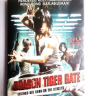 Dragon Tiger Gate (2006) Donnie Yen 2DVD - pikkukuva 1