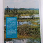 Peatlands in Finland - pikkukuva 2