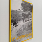 Annikka Paarvio : Paimenkoiraopas - pikkukuva 1
