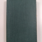 Ivan Turgenev : Rudin - pikkukuva 2