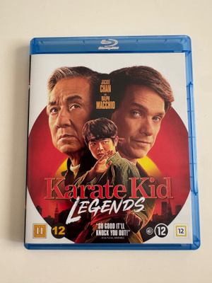 Karate Kid Legends