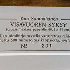 Kari Suomalainen "Visavuoren syksy" - pikkukuva 3