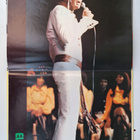 Elvis Presley That's The Way Japanilainen LP OBI SX-61 GF - pikkukuva 3