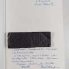 Veikko Valorinta : Tampereen teknillinen oppilaitos 1886-... - pikkukuva 3