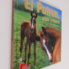 Elin Meldahl Ellingsen : El Patron, uljas orivarsa - pikkukuva 1