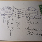 Viehättävä leidi kuusen ja käpyjen takana, p. 1921 - pikkukuva 2