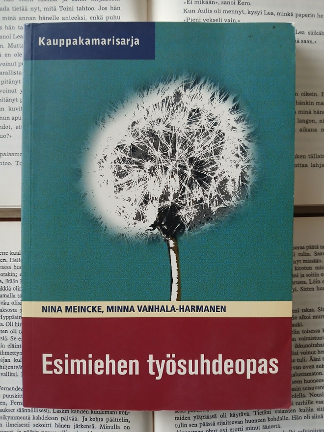 Nina Meincke - Esimiehen työsuhdeopas (nid.)