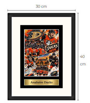 Uusi Anaheim Ducks NHL art print Limited Edition