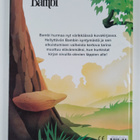 Fernando Guell : Bambi - pikkukuva 2
