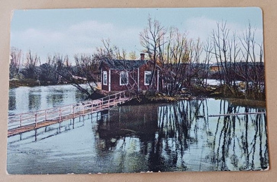 Uusikaarlepyy, Brunnsholmen, vanha väripk, ei p.