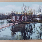 Uusikaarlepyy, Brunnsholmen, vanha väripk, ei p. - pikkukuva 1