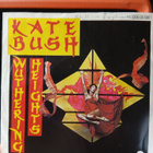 Kate bush wuthering heights "7 - pikkukuva 1