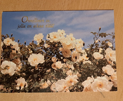 kukat, ruusupensas, hyvä PostiTele-leima, kulkenut 1988