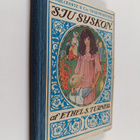 Ethel S. Turner : Sju syskon - pikkukuva 1