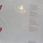 CRAIG SAFAN - WARNING SIGN (LIMITED EDITION) M/M 2LP VINYL - pikkukuva 2