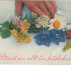 kortti ** Kissankellon kauneus - erilaisia valokuvakortteja - pikkukuva 1