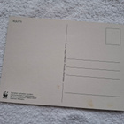 KUUTTI WWF Postikortti* VINTAGE - pikkukuva 2