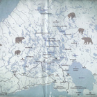 Mikko Kamula: Kalevan pojat (Metsän kansa 4) kirjastopoisto - pikkukuva 5