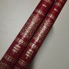 Leo Tolstoi : Lapsuus, poikaikä, nuoruus I-II - pikkukuva 1