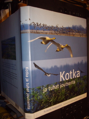 Kotka ja tuhat joutsenta - Äyräpää lintuparatiisi