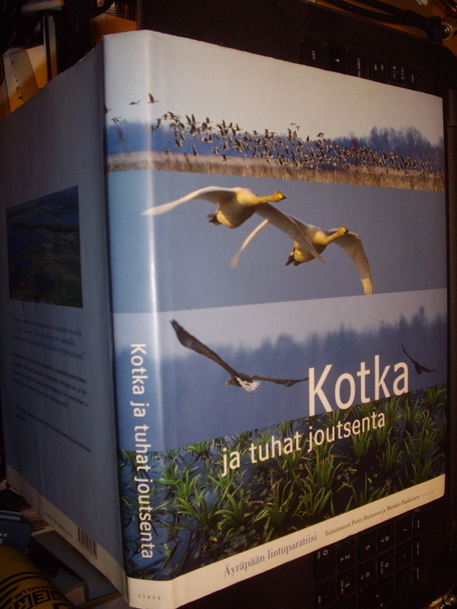 Kotka ja tuhat joutsenta - Äyräpää lintuparatiisi