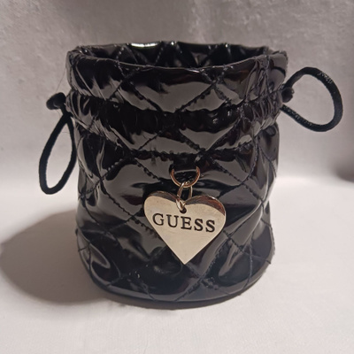 Guess pussukka