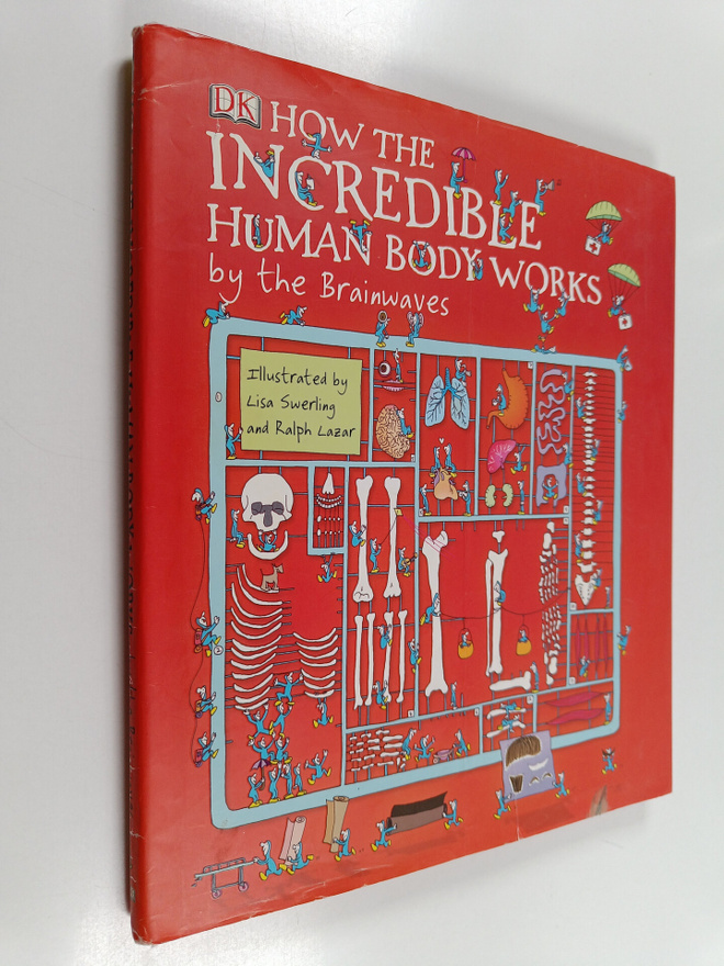 How the Incredible Human Body Works: by the Brainwaves