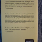 Charles Bukowski: Auringonvalo, tässä olen - Haastatteluja & - pikkukuva 2