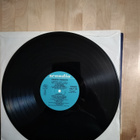 Dannyn parhaita lp - pikkukuva 4