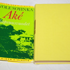 Wole Soyinka - Ake -lapsuusvuodet - pikkukuva 1