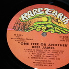 Keef James - One Tree or Another LP 1972 psych - pikkukuva 3