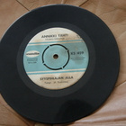 ANNIKKI TÄHTI SINGLE - pikkukuva 1