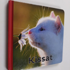 Kissat - pikkukuva 1
