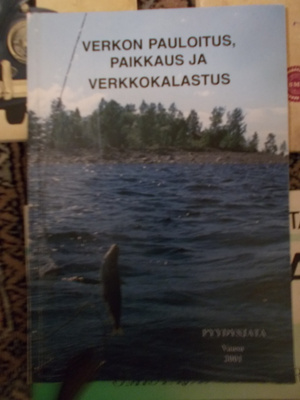 VERKKOKALASTUS