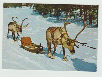 H. Laamanen : Suomen Lappi , Pororaito  (R)