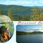 Postikortti: LEVI (kulkenut 2003) - pikkukuva 1