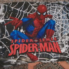 SPIDER-MAN / BATMAN - pikkukuva 1